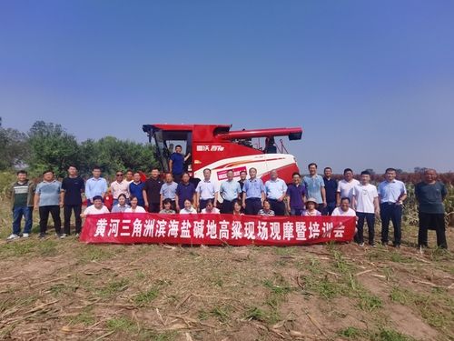 科技助力鹽堿地改良——黃河三角洲濱海鹽堿地高粱現場觀摩暨培訓會成功舉辦