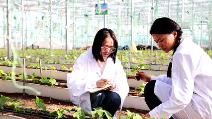 現代農業科技引領人才回流 彌渡大學生返鄉就業新趨勢