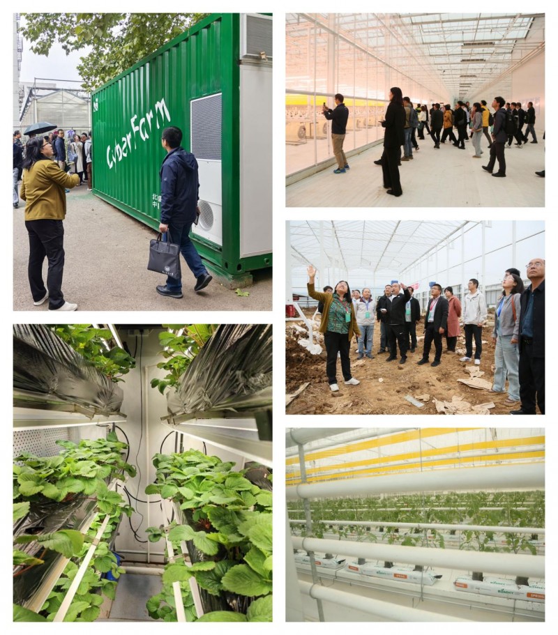 三天盛會繪就產(chǎn)業(yè)新藍圖 技術協(xié)同開啟農(nóng)業(yè)新未來 —— 2025年智慧植物工廠技術研討會綜述