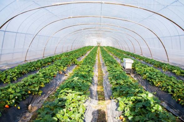 山東泰港數(shù)科集團 為農(nóng)業(yè)插上科技的翅膀，引領農(nóng)業(yè)科技研發(fā)新浪潮