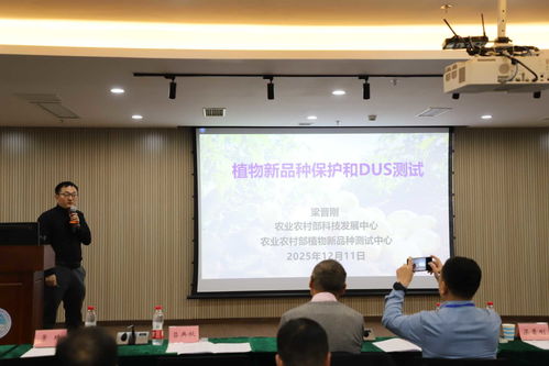 以技術創新驅動產業升級 全國馬鈴薯種業高質量發展交流會在渝召開，共探農業科技研發新路徑