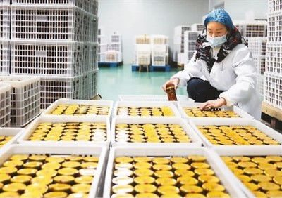 穩居第一，小小罐頭闖世界 農業科技研發鑄就餐桌全球化