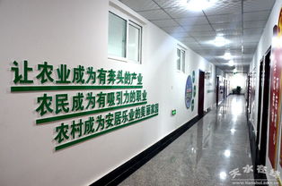 中國電子科技集團消費扶貧新舉措 采購清水農產品助力鄉村振興，科技研發賦能農業現代化